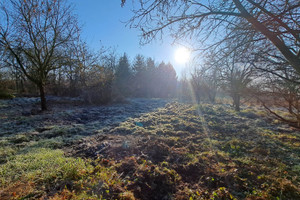 Działka na sprzedaż 1200m2 krakowski Iwanowice Maszków Kolonia - zdjęcie 3