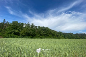 Działka na sprzedaż 1355m2 opolski Dąbrowa Karczów Grobla - zdjęcie 2