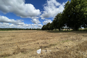 Działka na sprzedaż 10100m2 węgorzewski Pozezdrze Harsz - zdjęcie 3