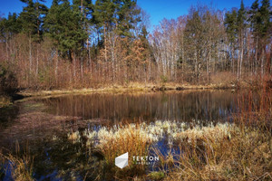 Działka na sprzedaż 26566m2 gdański Pruszcz Gdański Żuławka Leśna - zdjęcie 1