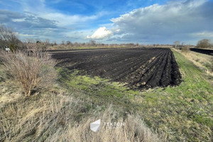 Działka na sprzedaż 955m2 Gdańsk Orunia-Św. Wojciech-Lipce Orunia Żuławska - zdjęcie 3