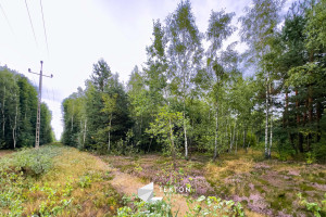 Działka na sprzedaż grodziski Grodzisk Mazowiecki Janinów Szkocka - zdjęcie 2