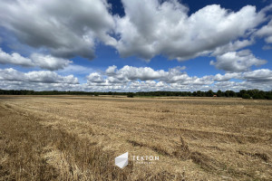 Działka na sprzedaż 10100m2 węgorzewski Pozezdrze Harsz - zdjęcie 2