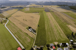 Działka na sprzedaż 19730m2 gliwicki Wielowieś Raduń - zdjęcie 1