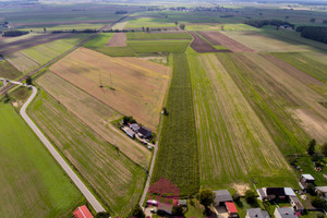 Działka na sprzedaż 19730m2 gliwicki Wielowieś Raduń Wiejska - zdjęcie 3