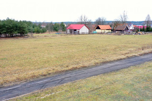 Działka na sprzedaż 1889m2 szczycieński Rozogi Faryny - zdjęcie 2