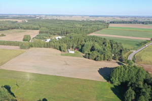 Działka na sprzedaż 25000m2 kolneński Turośl Ptaki - zdjęcie 3