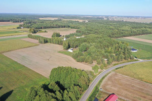 Działka na sprzedaż 25000m2 kolneński Turośl Ptaki - zdjęcie 2