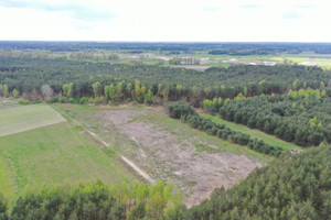 Działka na sprzedaż 15001m2 kolneński Turośl Pupki - zdjęcie 2