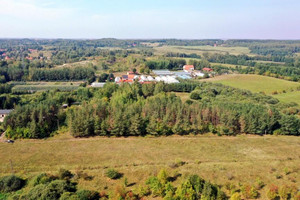 Działka na sprzedaż 8100m2 węgorzewski Węgorzewo Ogonki - zdjęcie 3