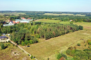 Działka na sprzedaż 8100m2 węgorzewski Węgorzewo Ogonki - zdjęcie 2