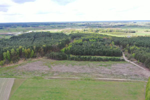 Działka na sprzedaż 15001m2 kolneński Turośl Pupki - zdjęcie 3