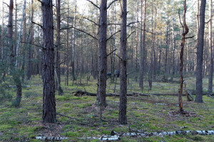 Działka na sprzedaż 4100m2 kolneński Mały Płock Kąty - zdjęcie 2