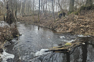 Działka na sprzedaż 3700m2 kolneński Mały Płock Włodki - zdjęcie 2