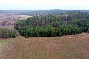 Działka na sprzedaż 7600m2 piski Pisz Kocioł Duży - zdjęcie 2