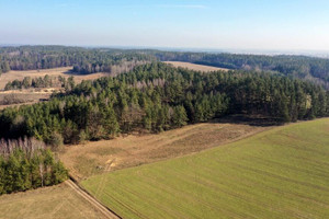 Działka na sprzedaż 7600m2 piski Pisz Kocioł Duży - zdjęcie 2