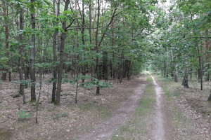 Działka na sprzedaż 32000m2 miński Mrozy - zdjęcie 3