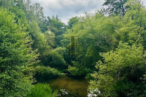 Działka na sprzedaż 6006m2 płoński Nowe Miasto Popielżyn Dolny - zdjęcie 3