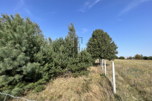 Działka na sprzedaż 2000m2 kozienicki Grabów nad Pilicą - zdjęcie 3