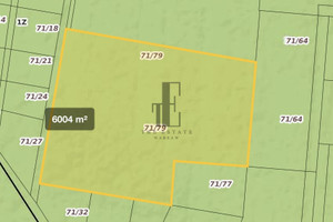 Działka na sprzedaż 6006m2 płoński Płońsk - zdjęcie 2