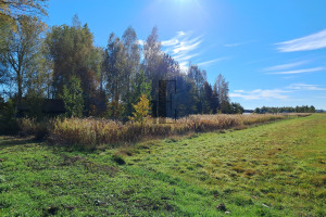 Działka na sprzedaż 700m2 miński Dębe Wielkie - zdjęcie 1