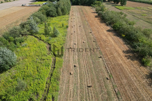 Działka na sprzedaż 7425m2 piaseczyński Góra Kalwaria Wojciechowice - zdjęcie 1