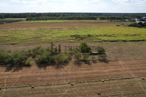 Działka na sprzedaż 7425m2 piaseczyński Góra Kalwaria Wojciechowice - zdjęcie 3