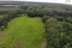 Działka na sprzedaż 17400m2 żyrardowski Mszczonów Gąba - zdjęcie 2