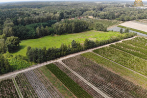 Działka na sprzedaż 17400m2 żyrardowski Mszczonów Gąba - zdjęcie 3