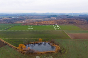 Działka na sprzedaż 61700m2 świdnicki Strzegom Rusko - zdjęcie 3