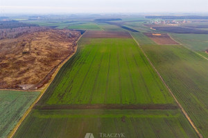 Działka na sprzedaż 61700m2 świdnicki Strzegom Rusko - zdjęcie 2