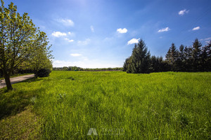 Działka na sprzedaż 12208m2 wrocławski Kąty Wrocławskie Bogdaszowice - zdjęcie 3