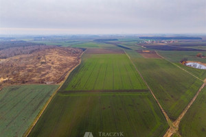 Działka na sprzedaż 12000m2 świdnicki Strzegom Rusko - zdjęcie 2