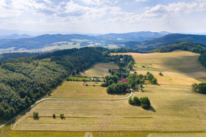 Działka na sprzedaż 1585m2 kamiennogórski Marciszów Pastewnik - zdjęcie 3