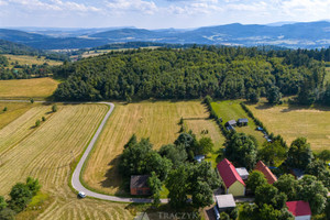 Działka na sprzedaż 5036m2 kamiennogórski Marciszów Pastewnik - zdjęcie 3