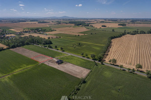 Działka na sprzedaż 2773m2 wrocławski Żórawina Bogunów - zdjęcie 1