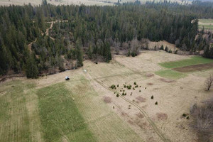 Komercyjne na sprzedaż 1196m2 tatrzański Poronin Murzasichle Budzowa - zdjęcie 3