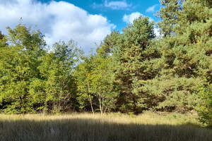 Działka na sprzedaż 1510m2 sztumski Sztum Sztumskie Pole - zdjęcie 3