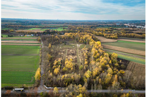 Działka na sprzedaż 88877m2 Piekary Śląskie Szybowa - zdjęcie 3