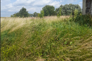 Działka na sprzedaż 700m2 sztumski Sztum Piekło - zdjęcie 2