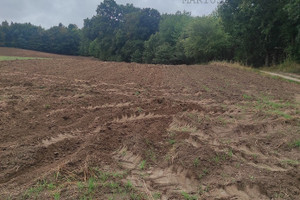 Działka na sprzedaż 36200m2 choszczeński Krzęcin Chłopowo - zdjęcie 3