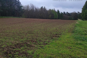 Działka na sprzedaż choszczeński Krzęcin Chłopowo - zdjęcie 3