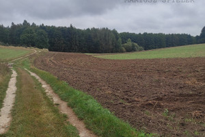 Działka na sprzedaż 36200m2 choszczeński Krzęcin Chłopowo - zdjęcie 1