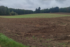 Działka na sprzedaż 36200m2 choszczeński Krzęcin Chłopowo - zdjęcie 2