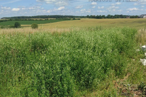 Działka na sprzedaż 2550m2 choszczeński Choszczno Oraczewice - zdjęcie 3