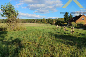 Działka na sprzedaż 6900m2 choszczeński Bierzwnik Łasko - zdjęcie 3