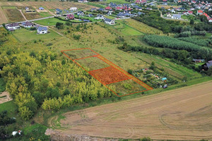 Działka na sprzedaż 738m2 gryfiński Chojna Fiołkowa - zdjęcie 4