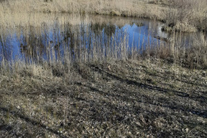 Działka na sprzedaż 8765m2 świecki Jeżewo Czersk Świecki - zdjęcie 1