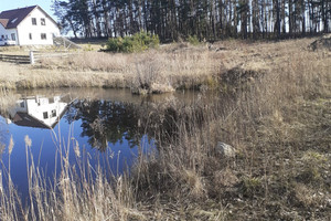 Działka na sprzedaż 8765m2 świecki Jeżewo Czersk Świecki - zdjęcie 2