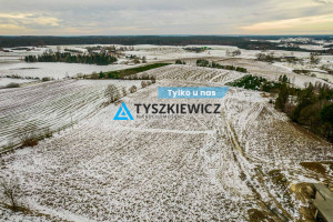 Działka na sprzedaż 1003m2 kartuski Stężyca Gołubie - zdjęcie 1